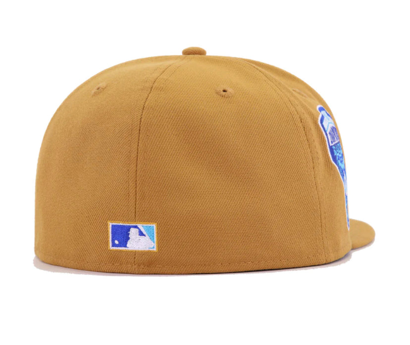 Official New Era Birmingham Phoenix The Hundred Cricket Diamond