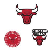 CHICAGO BULLS PREMIUM ACRYLIC MAGNET PACK CARDED