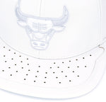 Chicago Bulls Mitchell & Ness “Day One” Snapback