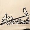 St. Louis Cardinals Black/Evergreen Cream Mitchell & Ness Off White Snapback Hat