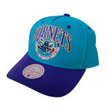 Charlotte Hornets Hardwood Classic Mitchell & Ness Pro Jewels Snapback Adjustable Hat