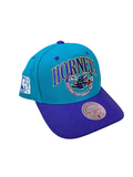 Charlotte Hornets Hardwood Classic Mitchell & Ness Pro Jewels Snapback Adjustable Hat