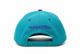 Charlotte Hornets Hardwood Classic Mitchell & Ness Pro Jewels Snapback Adjustable Hat